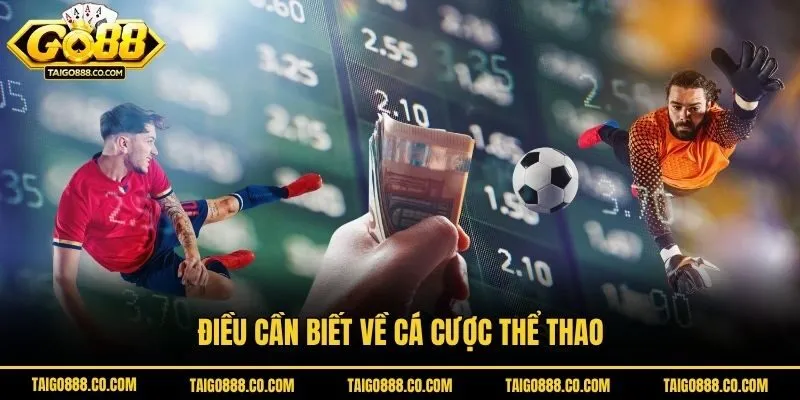 Điều cần biết về cá cược thể thao