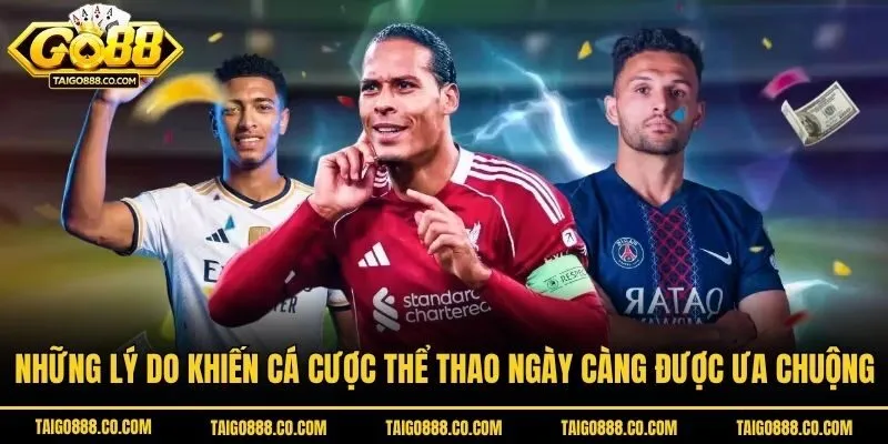 Những lý do khiến cá cược thể thao ngày càng được ưa chuộng